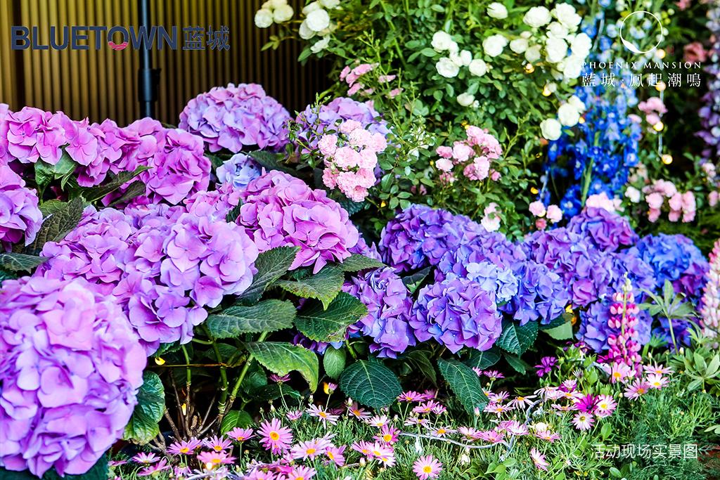 这座蓝城打造的城市中的秘密花园，惊艳了郑州人