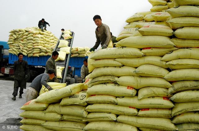 正确选择肥料要了解哪些,肥料怎么买才是正确的