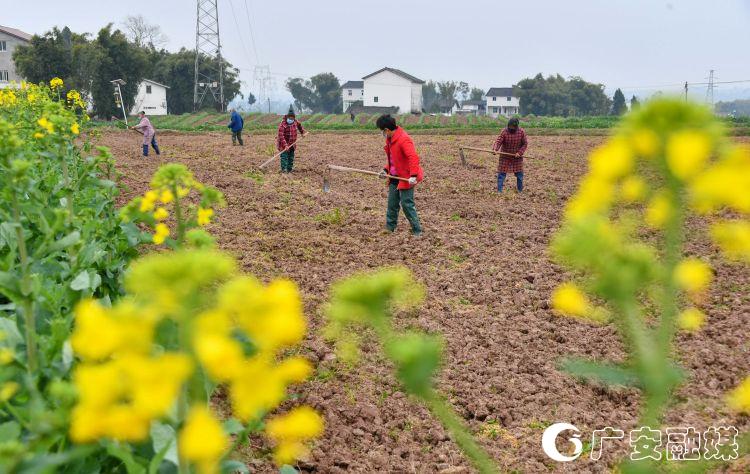 疫情防控不松懈春耕生产不松劲,疫情防控不松劲质量意识不松懈