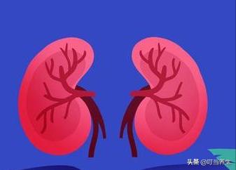 你的心脏是怎么样的呀,中医带你认识心脏