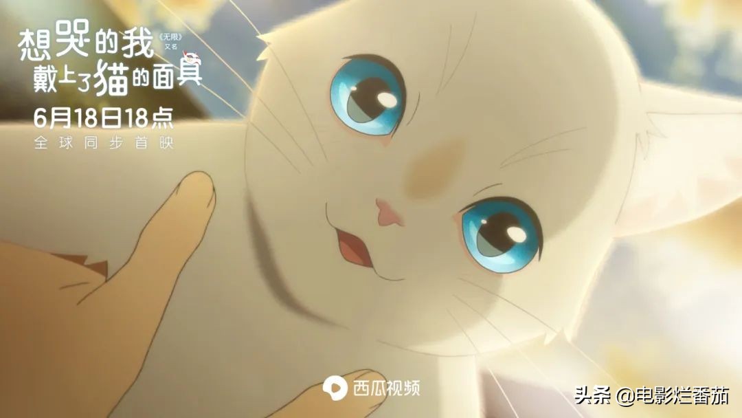 这部温情的撸猫片，让我哭得溃不成军，这是全世界猫*党**的胜利