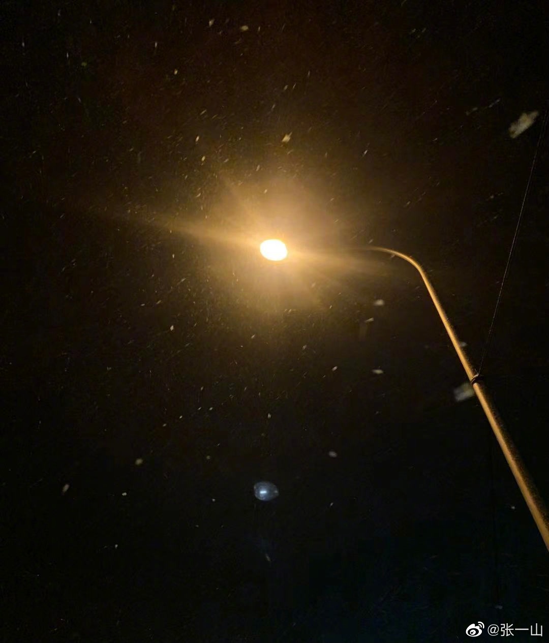 张一山长文庆祝杨紫27岁生日,杨紫发文给张一山庆生了吗