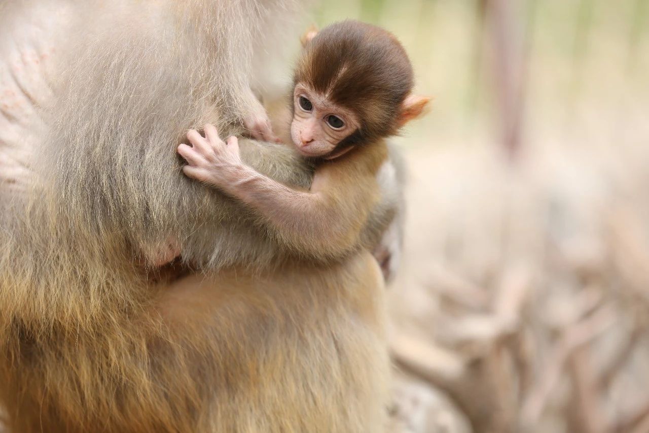 私家车能否自驾南太行挂壁公路,自驾游攻略南太行挂壁公路自驾