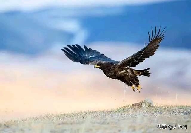 商道即做人之道,做生意到底什么叫商道