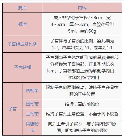 护考女性生理系统解剖学习技巧,女性生理解剖护考考点