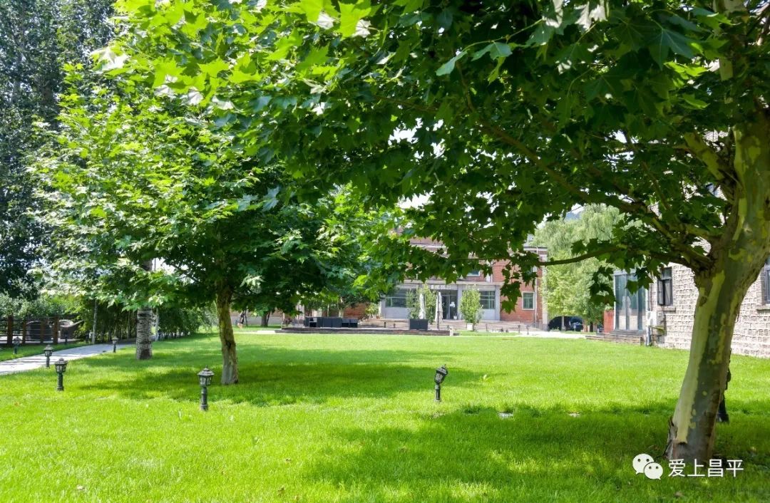 夏日京郊高端民宿,清爽到极致的民宿