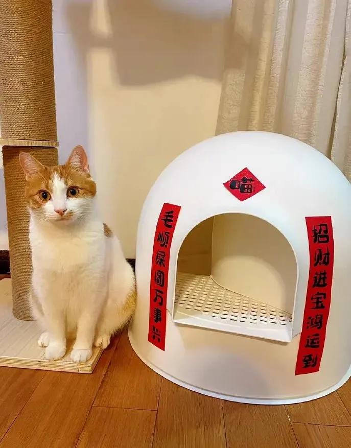 哪一个瞬间让你感觉快过年了,哪瞬间你觉得快过年了