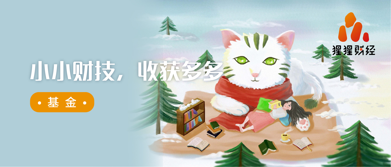 自动止盈定投的最佳技巧,定投止盈实际收益