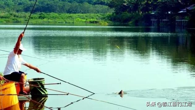 渔具基本常识,掌握钓鱼知识钓鱼不再难