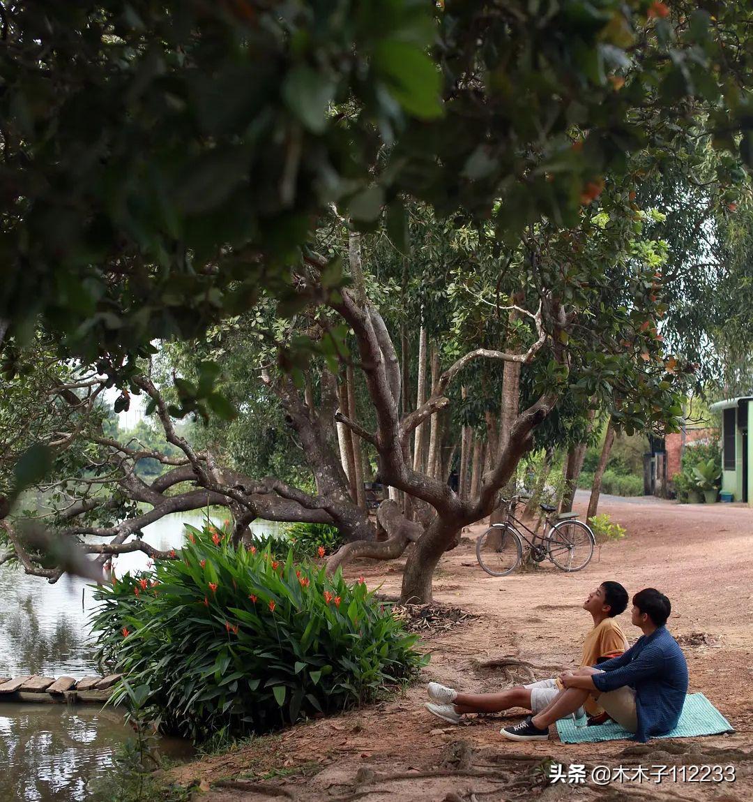 推荐几部良心剧,推荐不得不看的5部剧