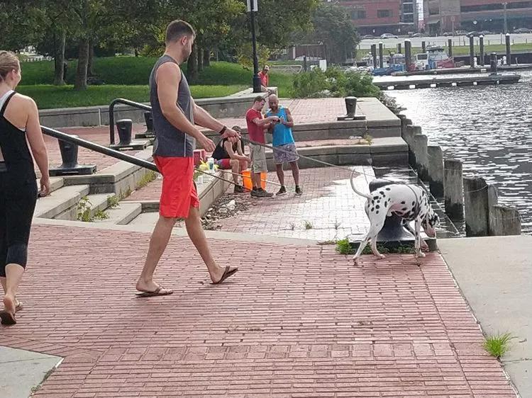 途征旅行,征途2020