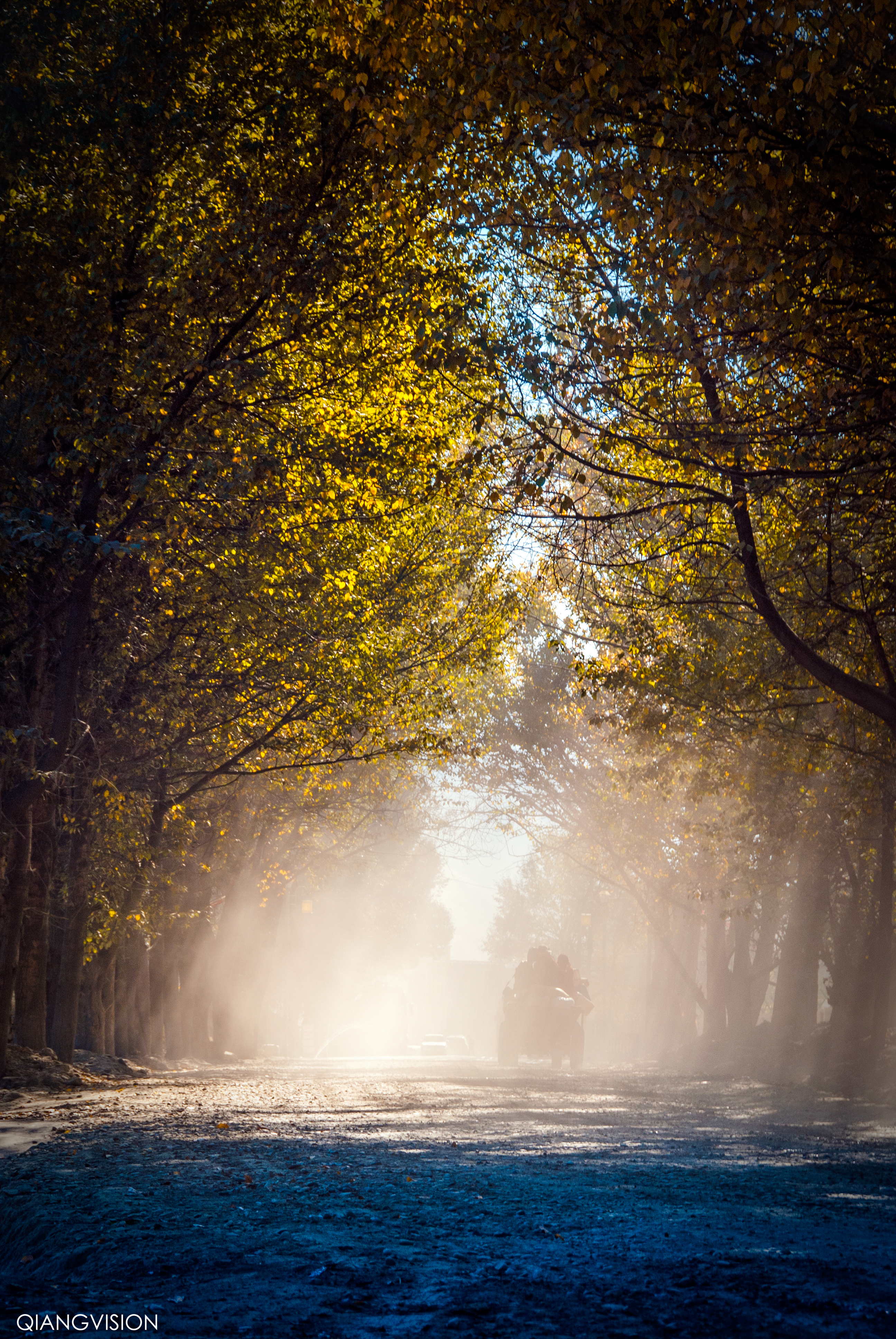 川西赏秋什么时间最好,推荐全球十大最佳赏秋胜地