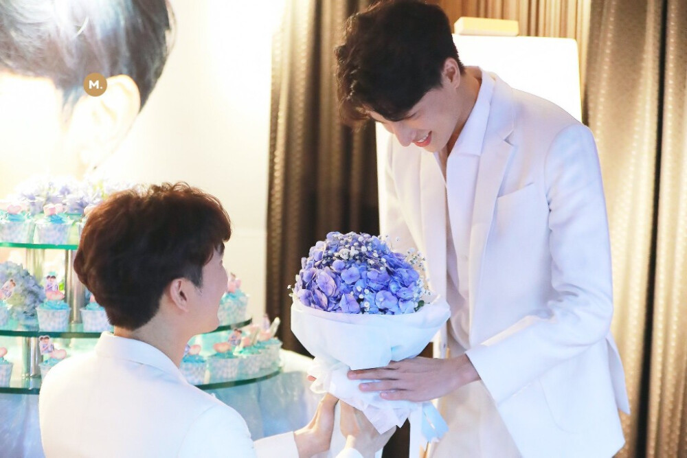 mewgulf缇庨缁艰壓,mewgulf鍚冮キ