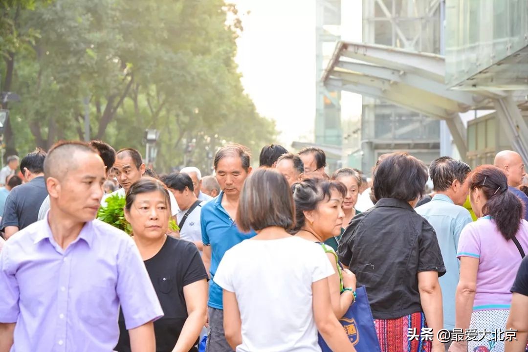 带你逛北京最大早市,北京正宗早市推荐