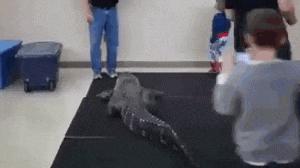 搞笑gif一看就是聪明人,搞笑gif趣图果然是亲生的笑死我了