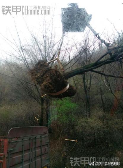 用户故事经典案例,用户故事