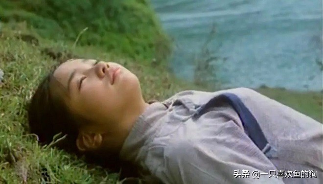 边城美与悲,边城中的美与哀