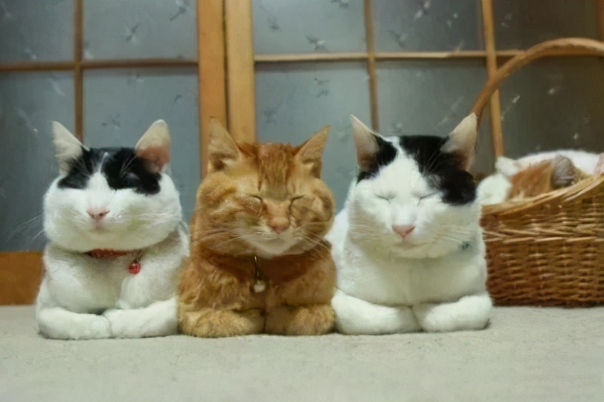 天又双叒冷了！娃的帽子、围巾、袜子等这样买，安全、科学又省钱