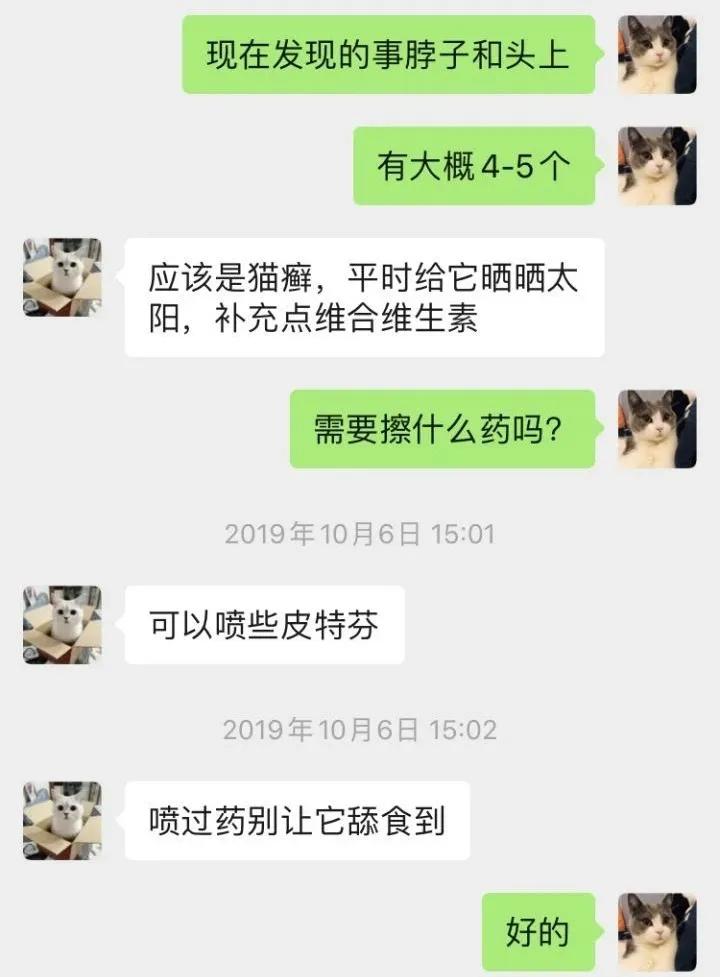 猫抓了有红点是怎么回事,猫轻咬了一下手上起了一个红点