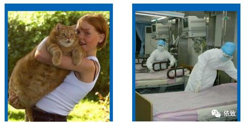 银离子杀菌跟紫外线除菌区别,银离子杀菌真的靠谱吗