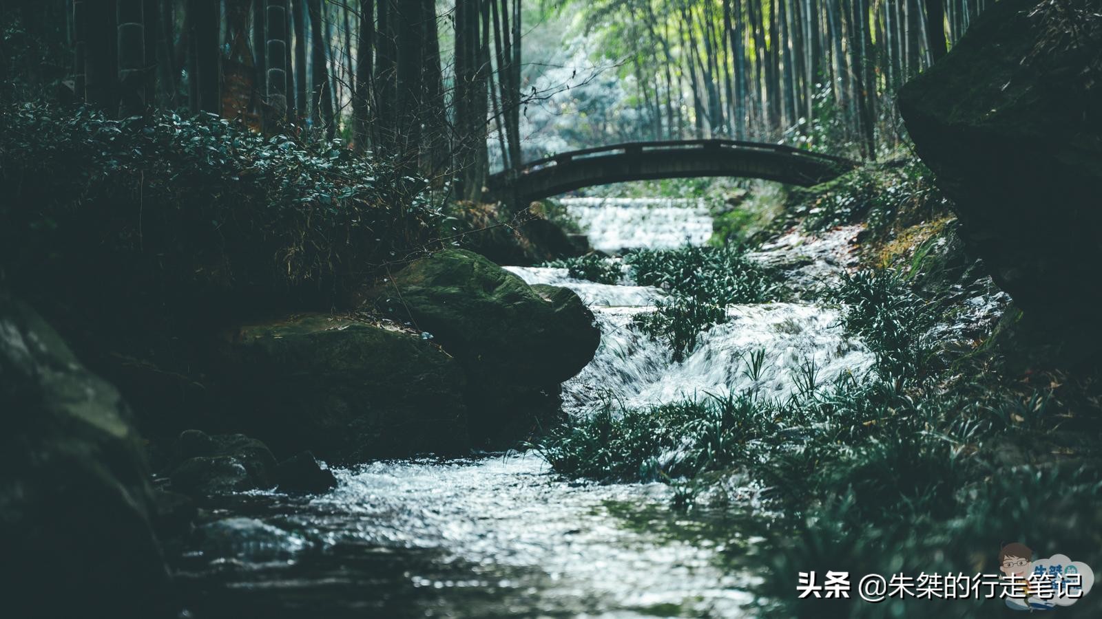 溧阳市区天目湖鱼头汤哪家最正宗,来溧阳一定要尝天目湖鱼头汤