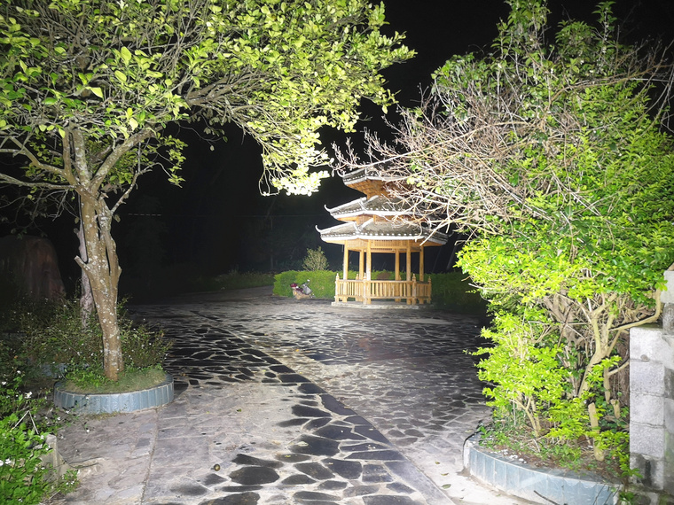 自从拍完这个手电之后，公园里人少了好多