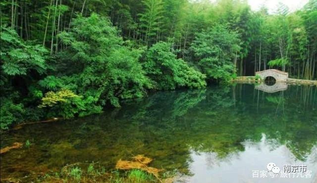 南京江宁石塘竹海景区图片,南京石塘竹海景区