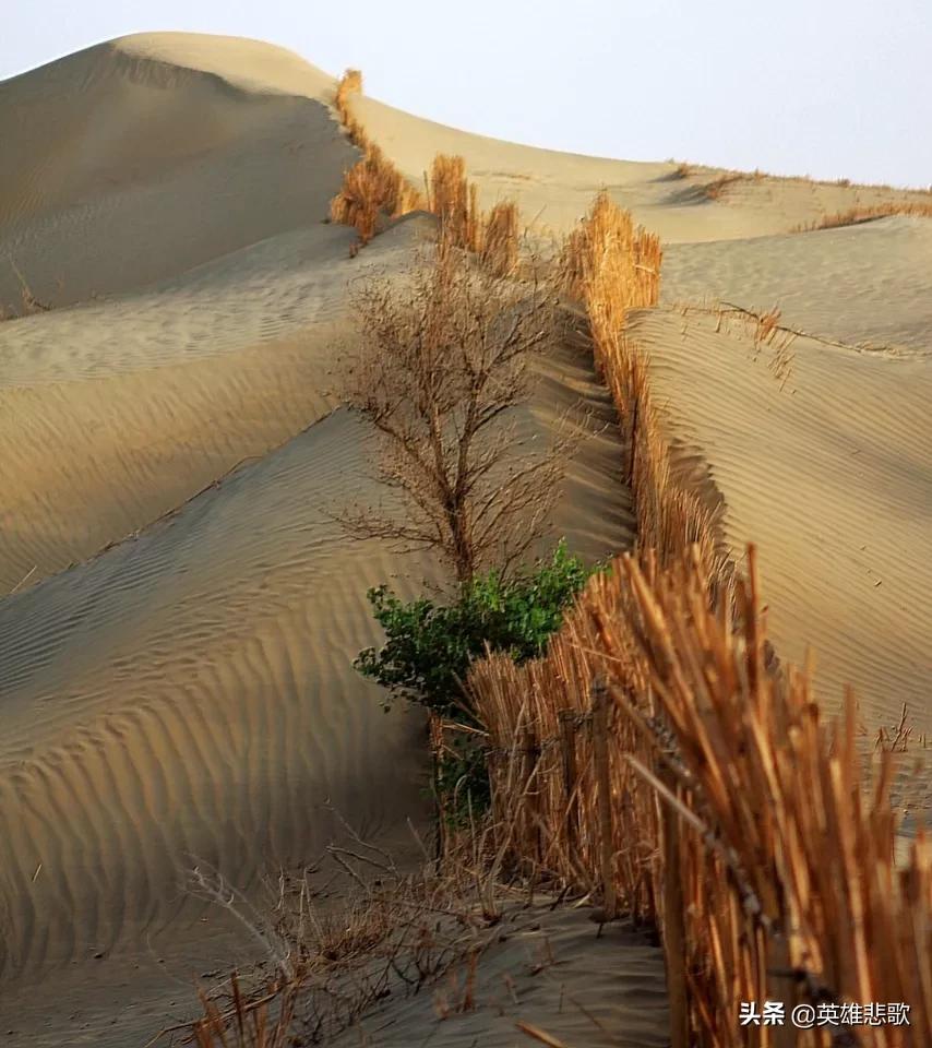 黄沙的价格走高的原因,黄沙市场短斤缺两