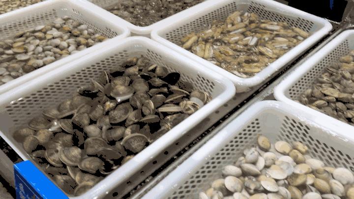 请依次用韩文读出来,请朗读并圈出元音不同的单词