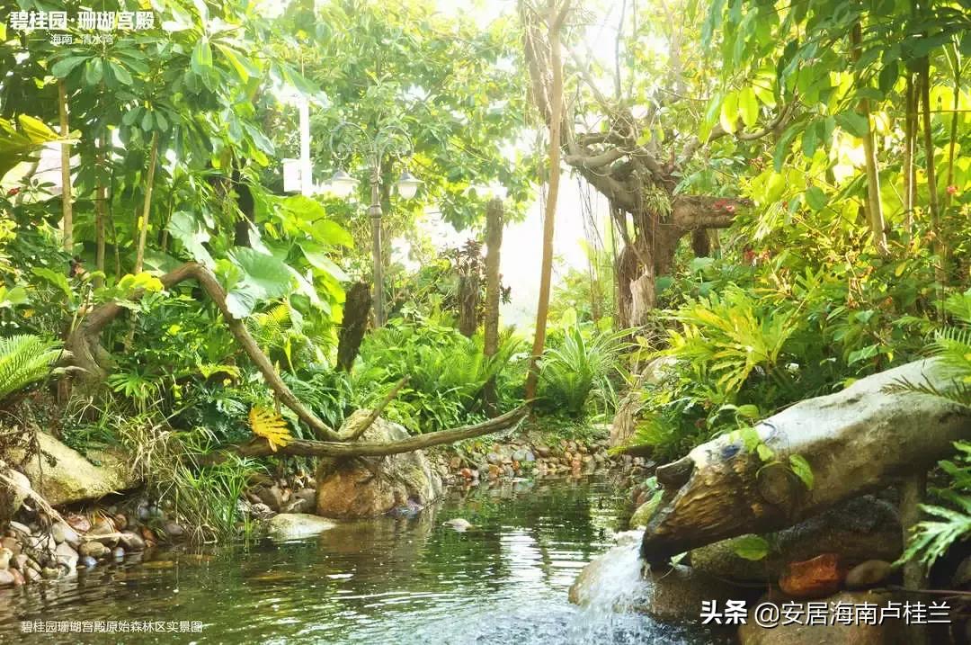 陵水碧桂园珊瑚宫殿过冬好吗,陵水碧桂园珊瑚宫殿2居室