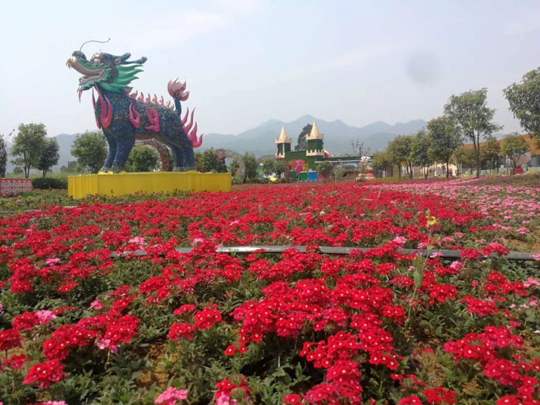 昆明旅游景点带小孩玩的地方推荐,昆明六一儿童免费游玩