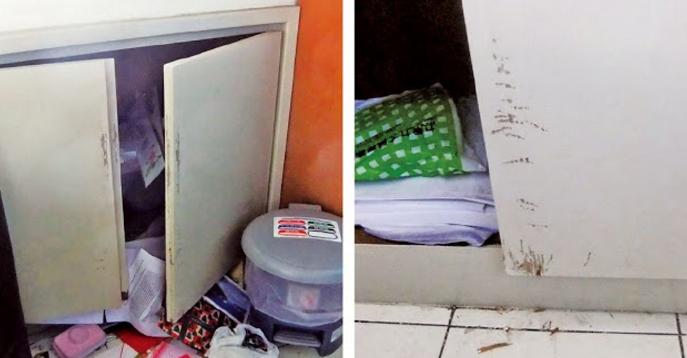 怎么消除对狗的心理恐惧,如何快速缓解狗狗的恐惧