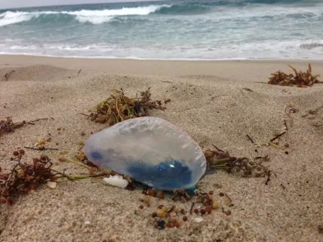 去泰国旅游为啥不能去酒吧二楼,去泰国为什么不能住酒店13楼