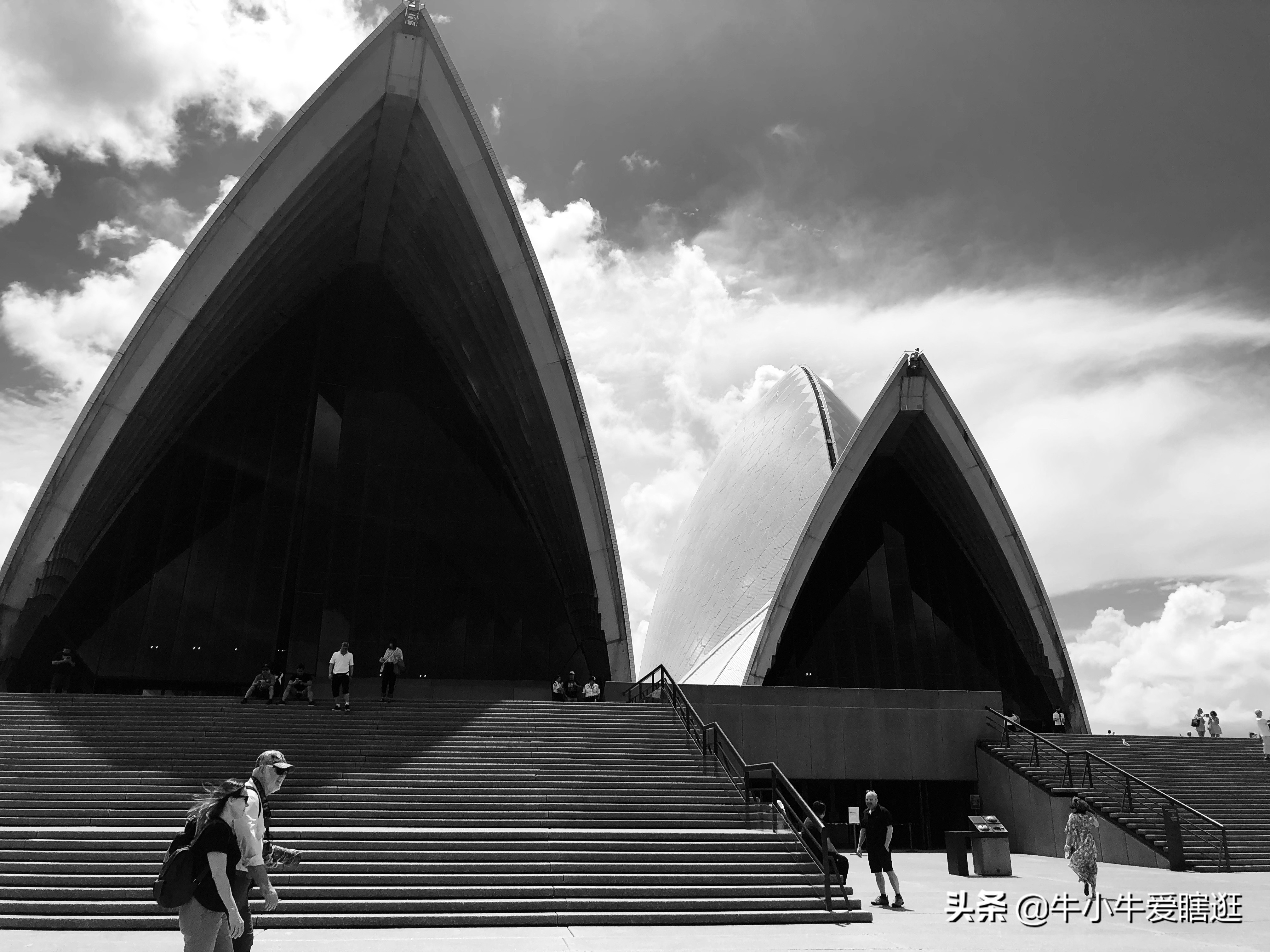 悉尼7日游自由行攻略,澳洲阿德莱德旅游攻略