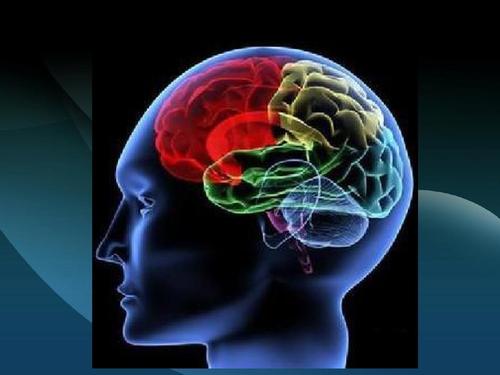 如何预防原发性直立性低血压,直立性低血压发病机制