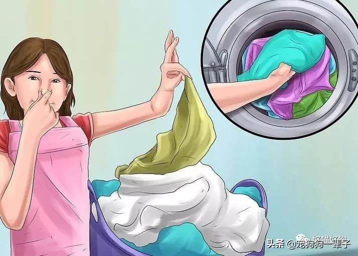 狗狗8个月还是乱拉乱尿怎么办,狗狗出了围栏就乱尿咋回事