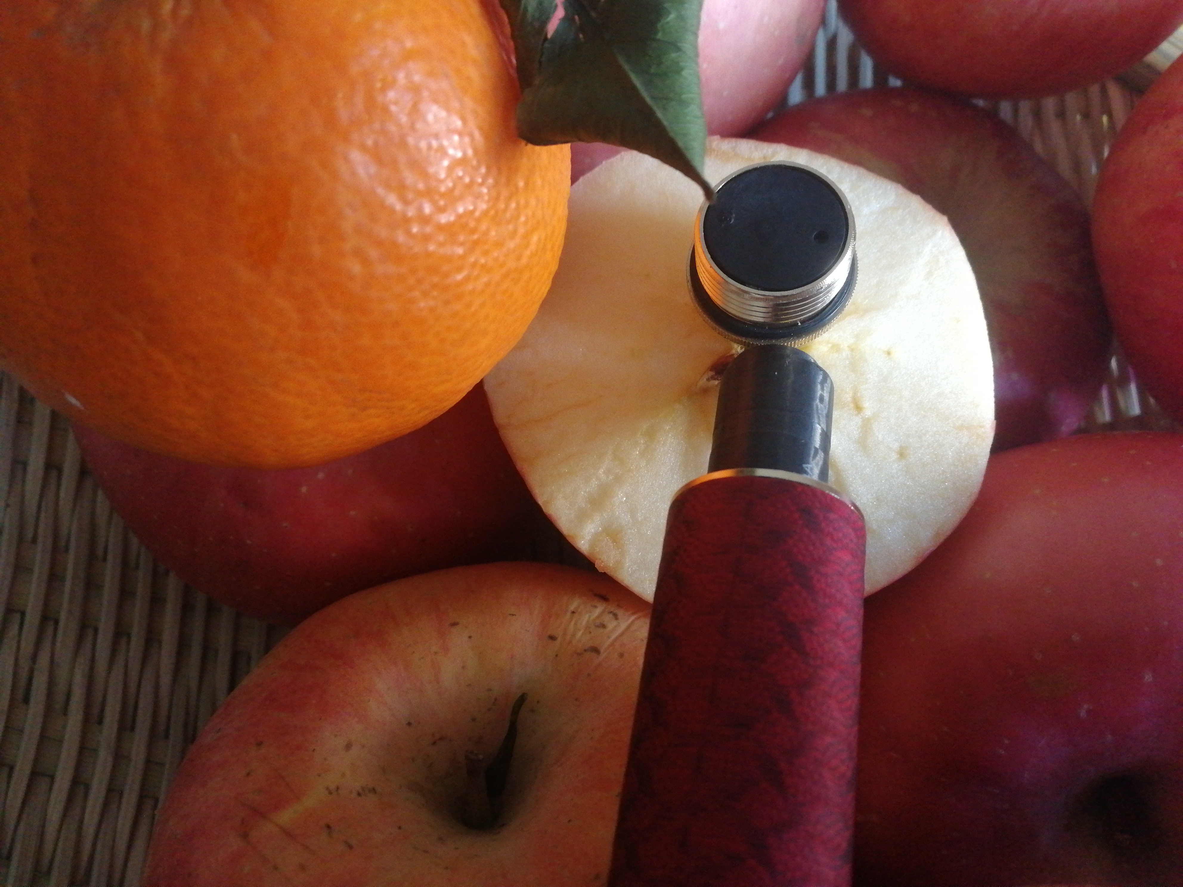 钓鱼竿的十大误区,钓竿到底该不该买