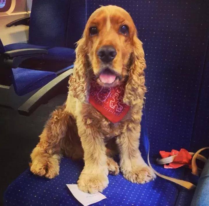 瑞士原来如此美丽,瑞士的风景是不是真的很美