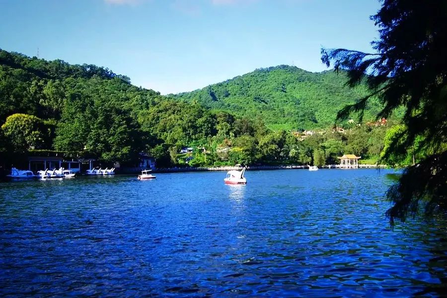 娣卞湷绗嬪矖鏂囧叿鎵瑰彂甯傚満鍋滀笟浜嗗悧,9鍙风嚎鍝竴绔欏埌鍗楁补鏈嶈鎵瑰彂甯傚満