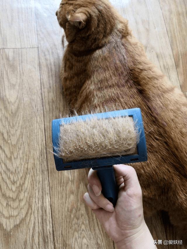 软便精有救了？干了这碗粮，养胃又护肠