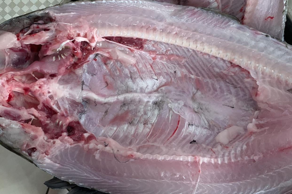 关于菜品去腥操作流程,怎样去除荤菜腥味最有效