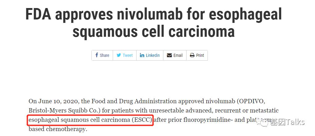 fda批准的药品说明书,fda批准的药物