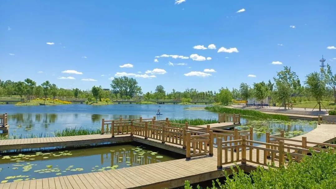 荣获乡村振兴优秀证书,2023乡村振兴成就奖