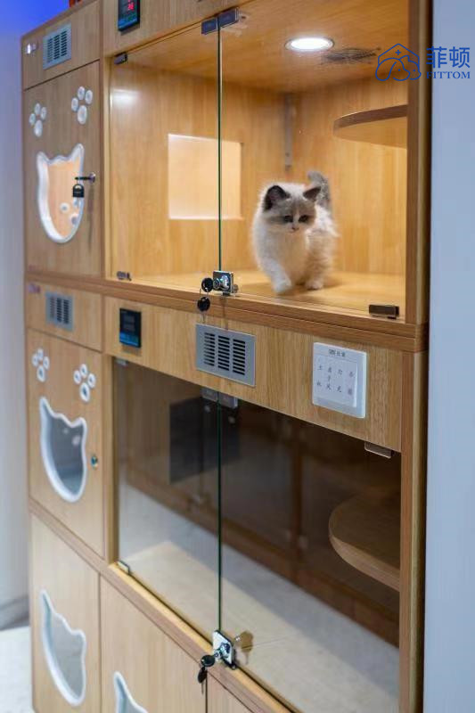 广州菲顿宠物线下康复靠谱吗,菲顿宠物