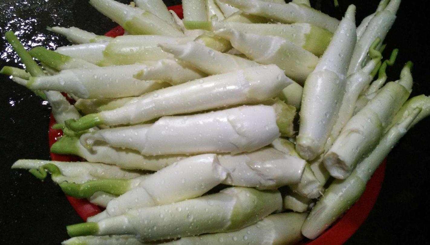 爱吃茭白的一定要收藏，教你5种简单美味的做法，好吃极了