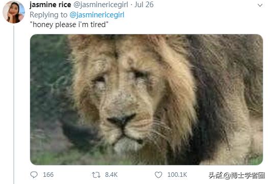 母狮一天发情40次,还追着公狮咬蛋蛋?根本不是这样啊....