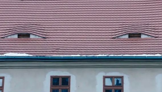 最新电影乔乔的异想世界,乔乔的异想世界电影好看