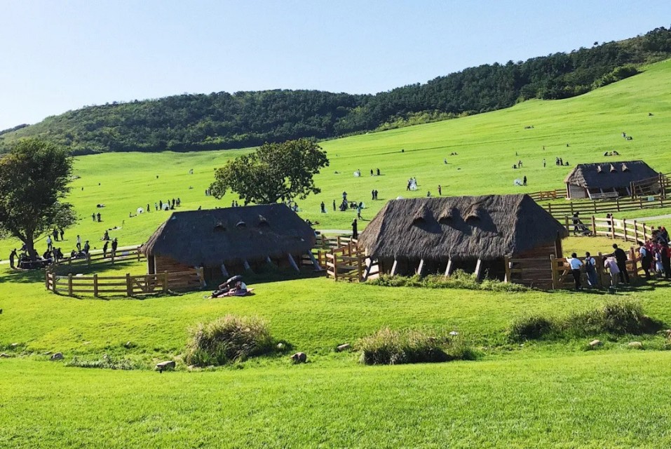 三寰牧场露营记,幼儿园游玩攻略三寰牧场
