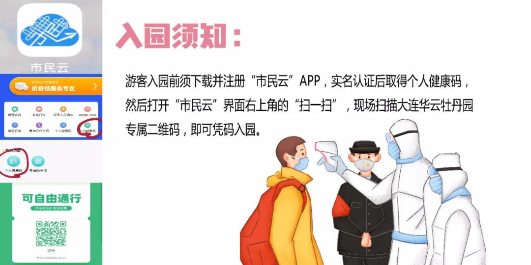 华酝牡丹园紫藤花,华酝牡丹园格桑花