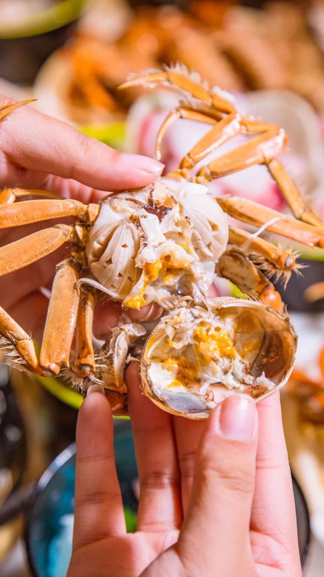 象拔蚌拼鹅肝三文鱼刺身拼盘,象拔蚌三文鱼鹅肝刺身拼盘